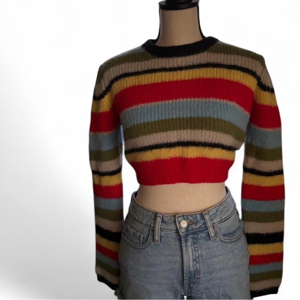 Striped Multicolor Crop Top